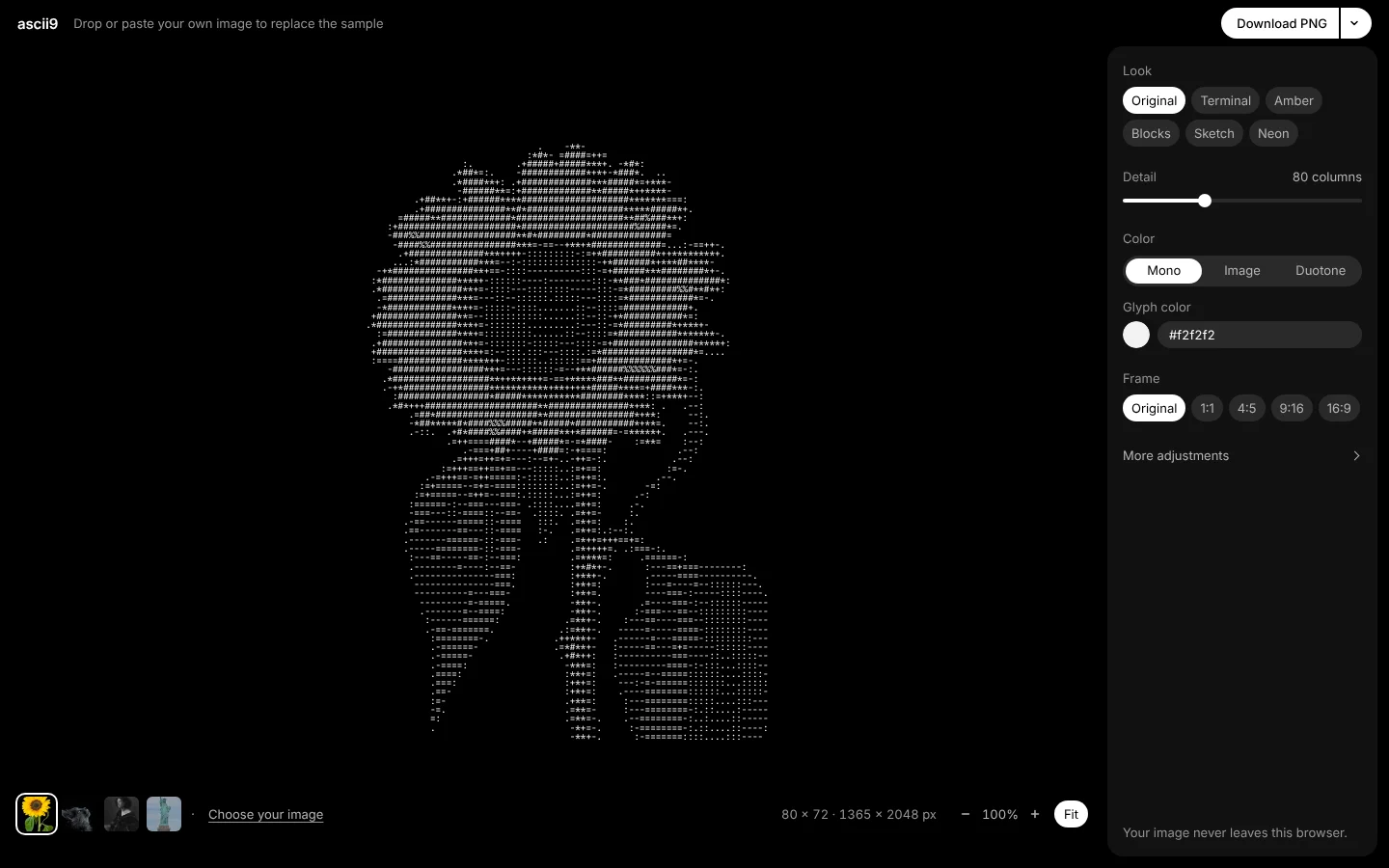ASCII9 converter showing a portrait rendered in white ASCII on black, with the Look, Detail, Color, and Frame settings panel