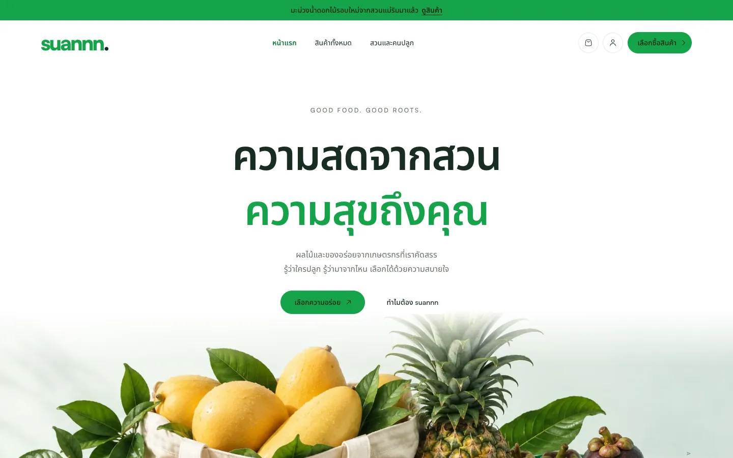Suannn storefront home page with the hero, product grid, and promotion bar